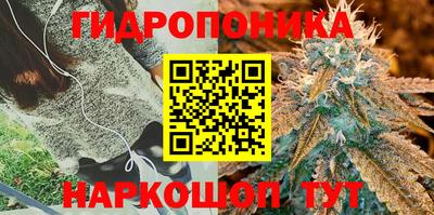 a pvp Чебоксары