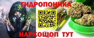 индика Усть-Илимск