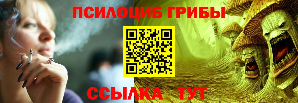 Псилоцибиновые грибы Cubensis  Псилоцибиновые грибы Cubensis  Вход с VPN  Саратов 